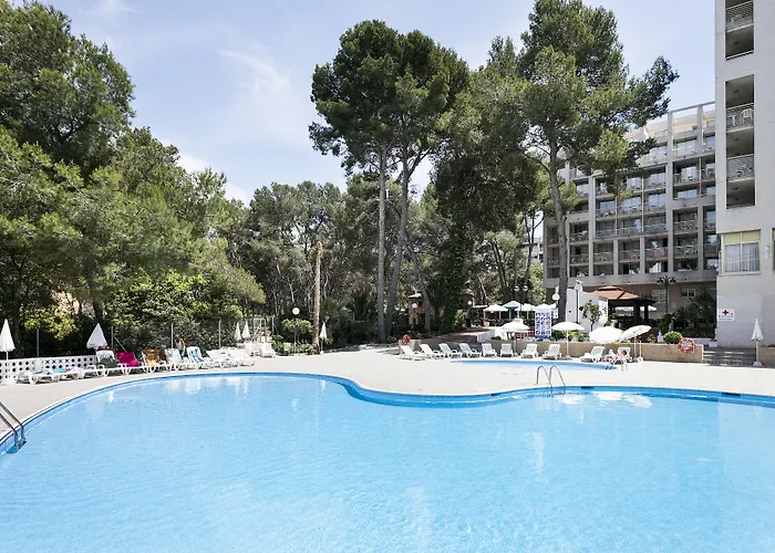 Hotel que admite mascotas: Hotel Best Mediterraneo